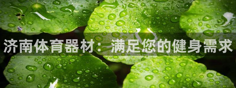 尊龙app最新版本官网：济南体育器材：满足您的健身需