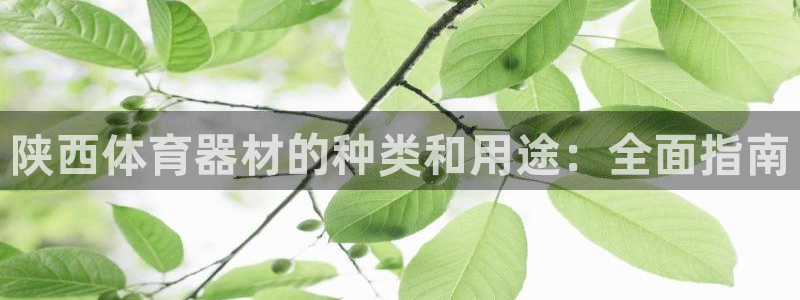 d88尊龙平台开户：陕西体育器材的种类和用途：全面指