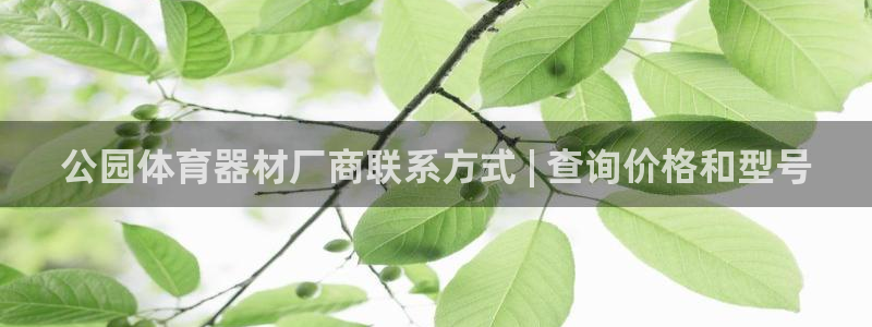 凯时官网手机版首页：公园体育器材厂商联系方式 | 查