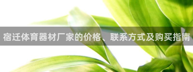 尊龙ag旗舰厅登录 租车app下载：宿迁体育器材厂家