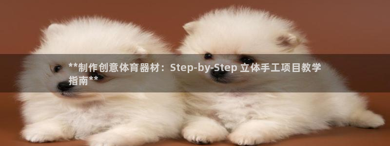 尊龙凯时麻将胡了：**制作创意体育器材：Step-b