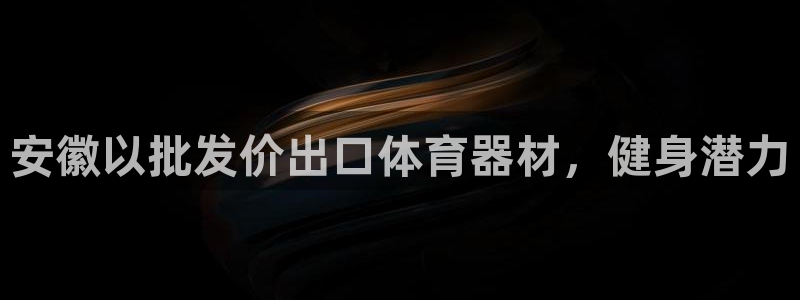 尊龙长相评价：安徽以批发价出口体育器材，健身潜力