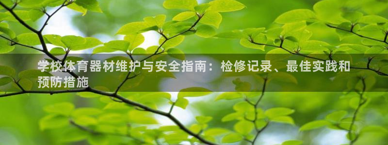 尊龙集团有限公司官网：学校体育器材维护与安全指南：检