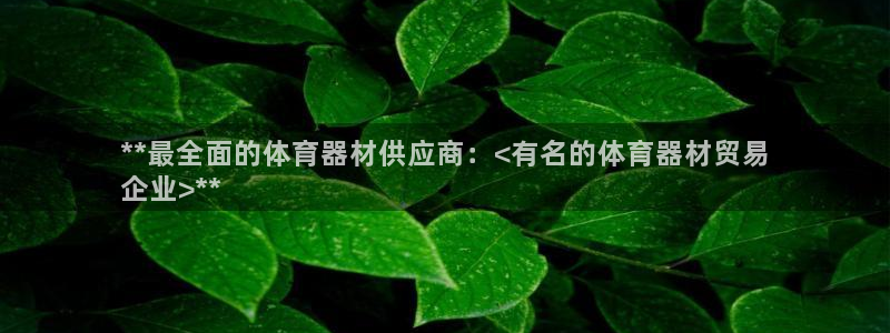 尊龙app登录不了